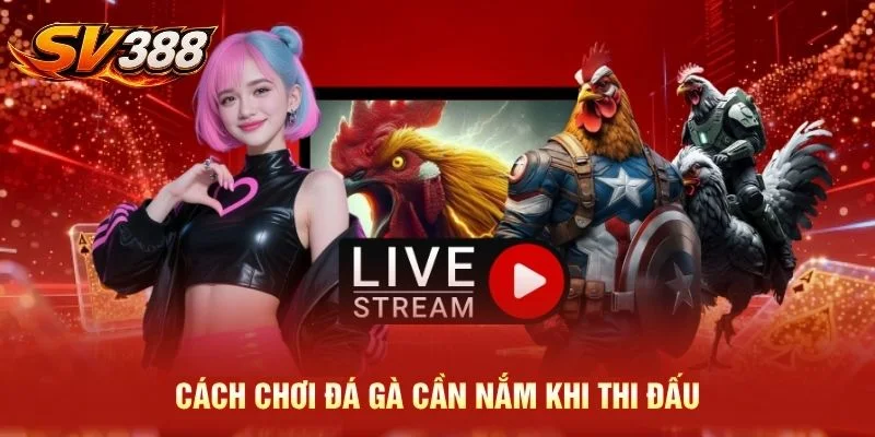 Cách chơi đá gà cần nắm khi thi đấu
