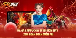 Đá Gà Campuchia SV388 Hôm Nay - Xem Hoàn Toàn Miễn Phí